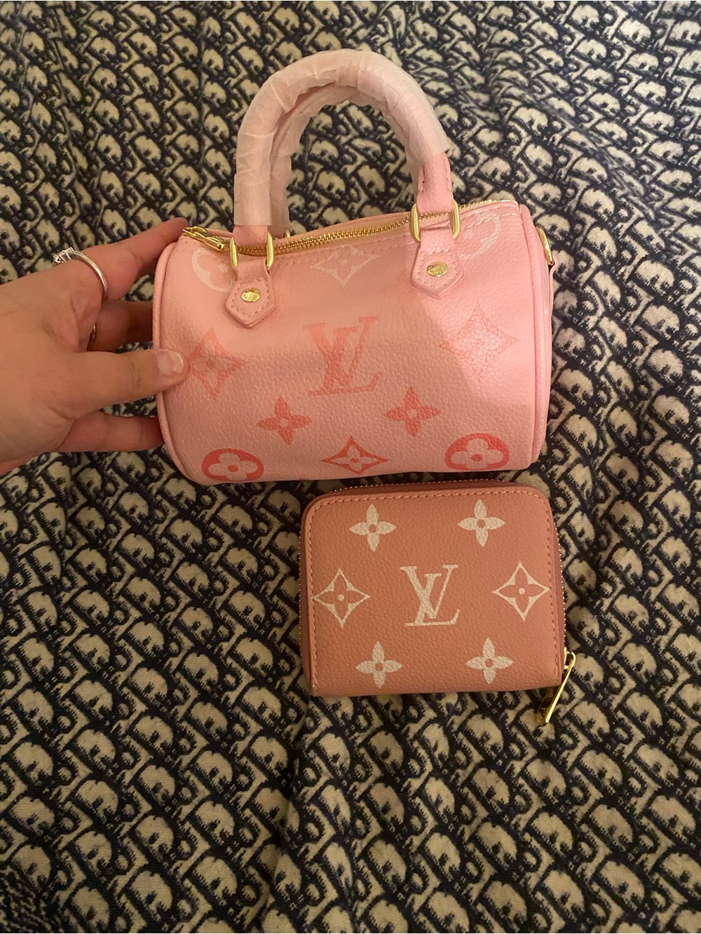 Louis Vuitton Pink Mini Speedy Handbag and Zip Wallet Set